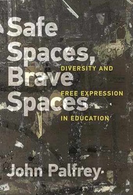 Safe Spaces, Brave Spaces: Diversity - Hardcover, by Palfrey John - Very Good