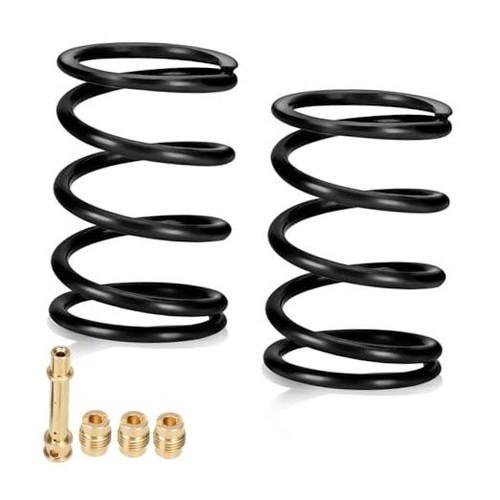 Predator 36lb Dual Valve Springs For 212cc Engines - Fits Most Stock Heads - Racing