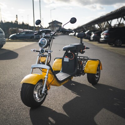 E-Scooter Coco Trike Bike Dreirad 60V 2000 Watt 2x12AH Akkus bis zu 70 KM