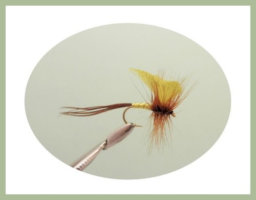 Mayflies, Trout Flies, 18 Mixed Drake, Spent Mayflies, Parachute etc, Size 10 - Picture 5 of 7