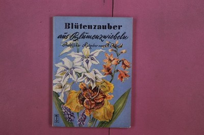 326727 H. Herold BLÜTENZAUBER AUS BLUMENZWIEBELN Falken-Verlag Erich Sicker