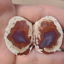 Berrendo (Red Hots) Agate Polished Thundereggs From Mexico