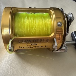 Penn International 30sw | eBay