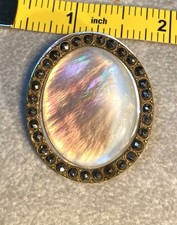 Victorial Carved Mother Of Pearl & Shell Set In Ornate Steel Facet Brass Button 