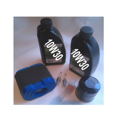 Service Kit Überholsatz Für Briggs & Stratton Motor 254707 – Für Aufsitzmäher Und Traktor, NEU