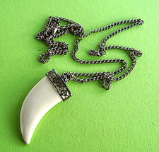 J951 / PENDENTIF DENT DE TIGRE ET SA CHAÎNE EN MÉTAL DORÉ VIEILLI /  4,2 CM