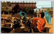 Vintage Japanese Village Deer Park Postcard Gray Line Sika Deer Garden