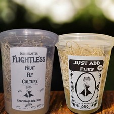 Flightless Fruit Fly Culture  1 Just Add Flies for Dart Frog Food Reptile Food