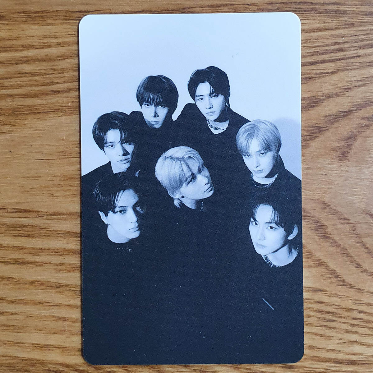 Group Cut Weverse Shop Official PVC Photocard Enhypen Dimension