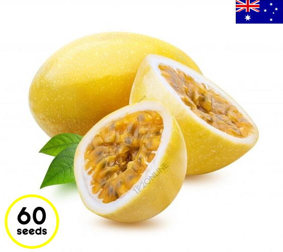 Sweet Passionfruit Plant In Sydney | Panama Red Passionfruit For Your - Foto 3