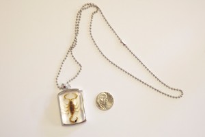 scorpion acrylic necklace