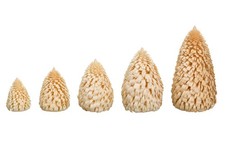 Striped Pine Natural Wood Tree H= 5Cm New Tree Decoration Seiffen Erzgeb