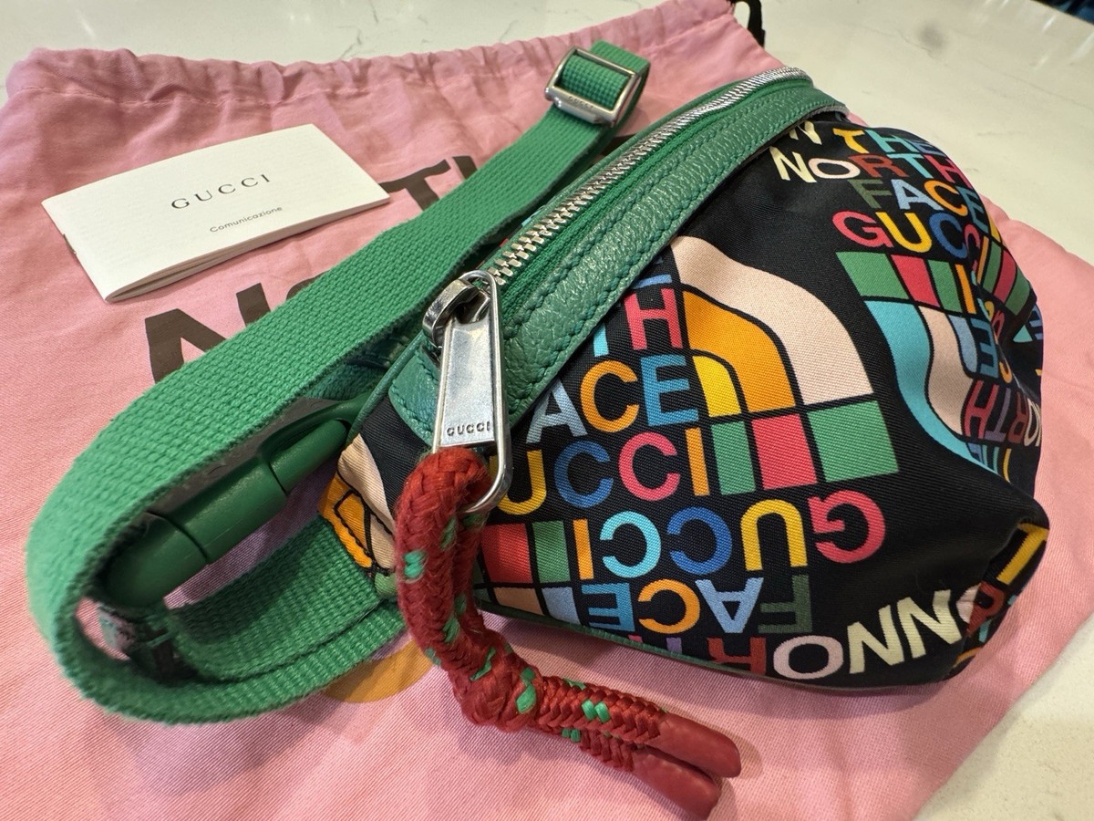 Gucci x The North Face Multicolor Logo Belt Bag w/ Green Strap & Dust Bag View 2