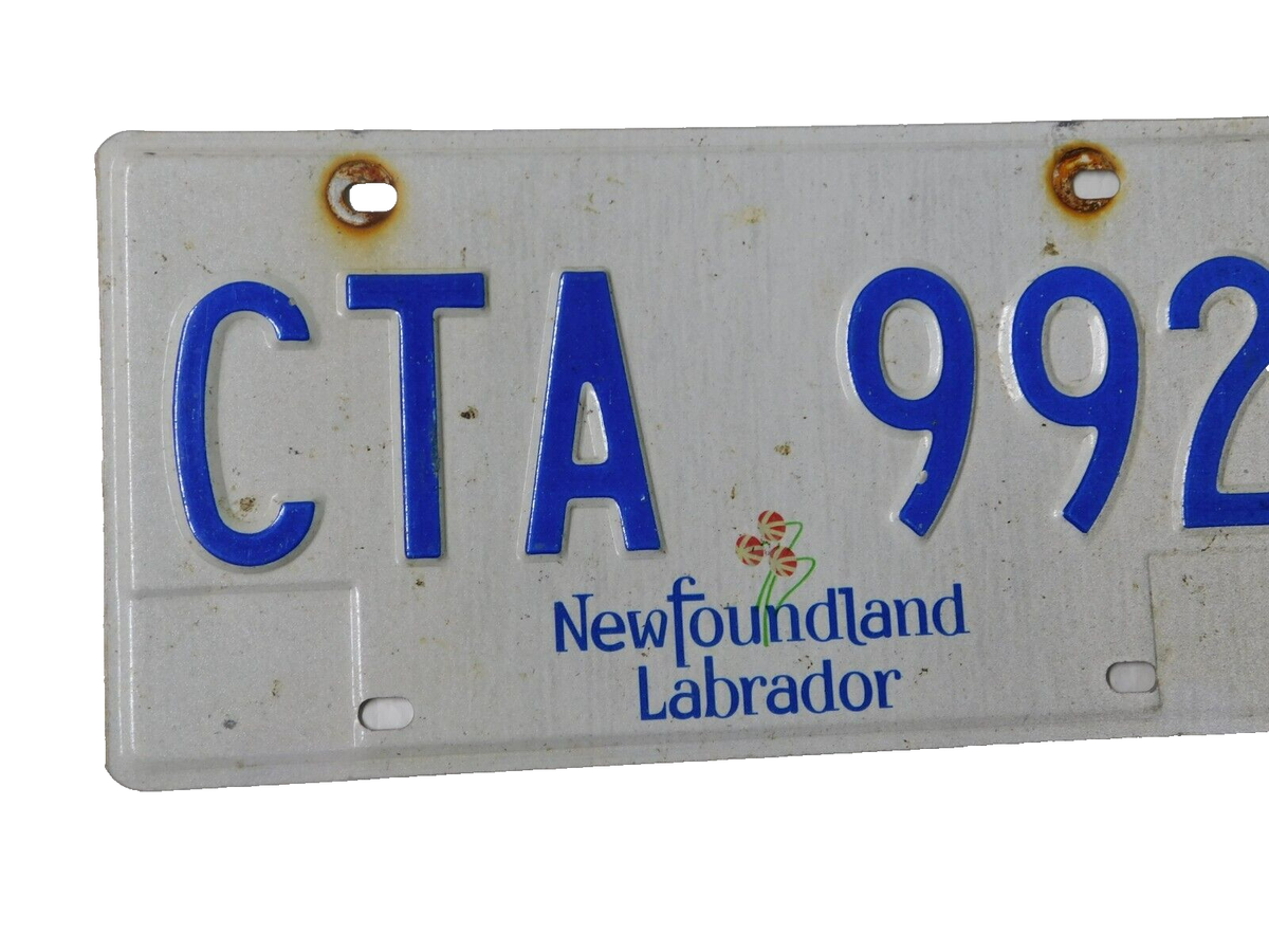 NEWFOUNDLAND LABRADOR LICENSE PLATE PICTURE PLANT CANADA SOUVENIR