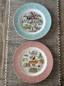 Vintage Illinois & Kentucky State Souvenir Plates Pink Blue Floral Set 1950s