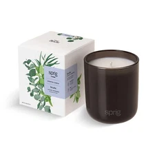 Sprig by Kohler Breathe Aromatherapy Candle with Eucalyptus and Mint -8 oz