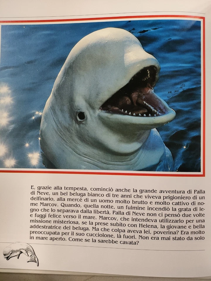 PALLA DI NEVE - LIBRI PER RAGAZZI MONDADORI - 1995 - ILLUSTRATO - NUOVO - Immagine 4 di 4