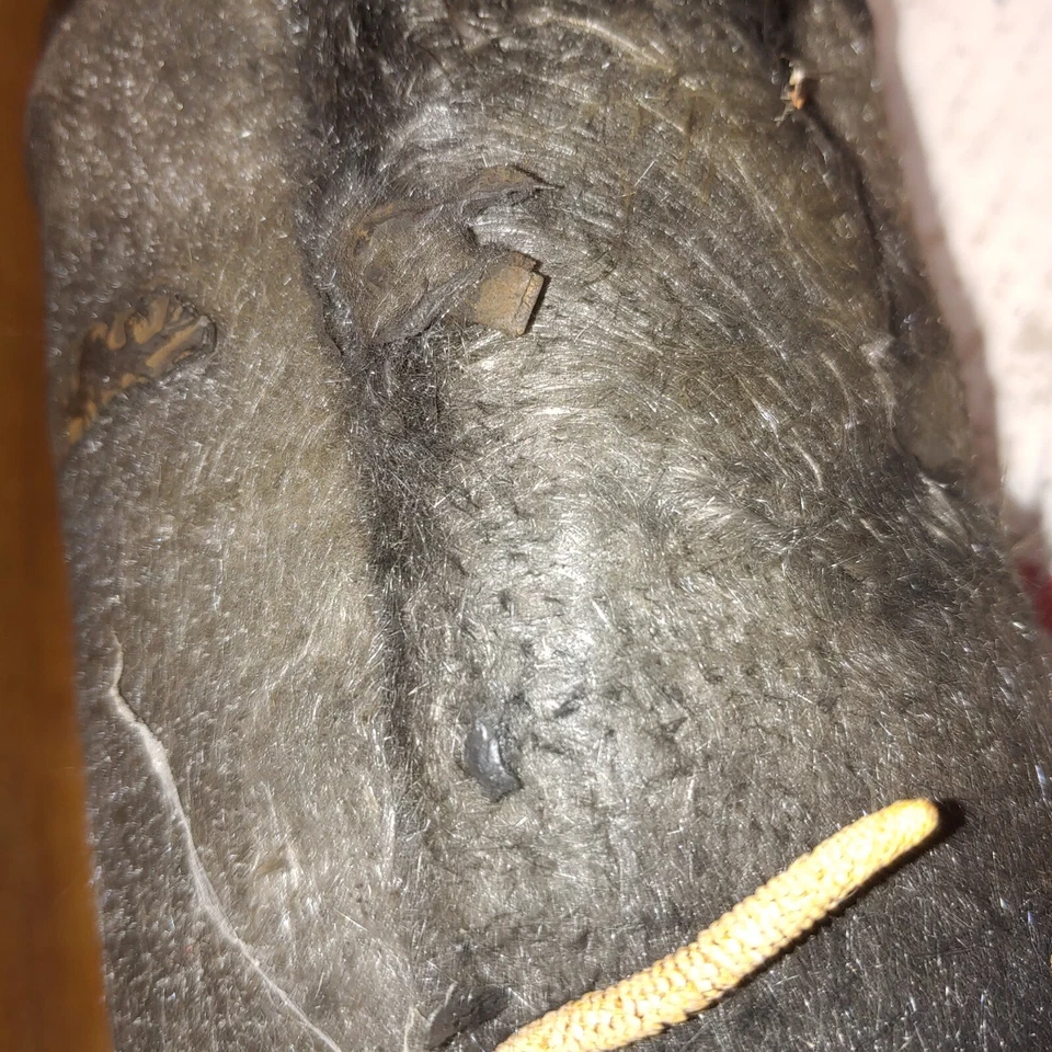 Harley Davidson 安静挡板插入件 | 1861 - 0593 21903 年 TIM — 第 3/4 张图片