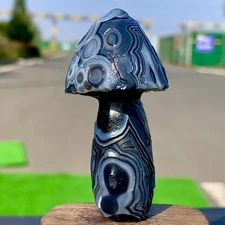 74G Top natural Gobi agate eye agate/stone carved mushroom Madagascar