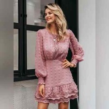 NWT $58 SZ SMALL DUSTY ROSE  Swiss Dot Bishop Sleeve EMBRIODERED Dress