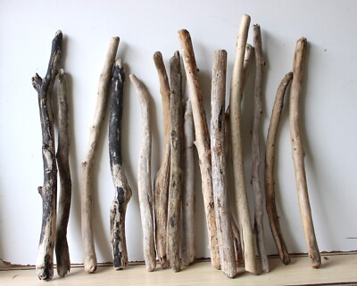 Treibholz Schwemmholz Driftwood  15   Äste Dekoration Basteln  46-58 cm  *SMP*