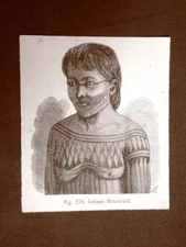 In America 1883 Indian Woman Mondurucu and Indian Man Arara Indians