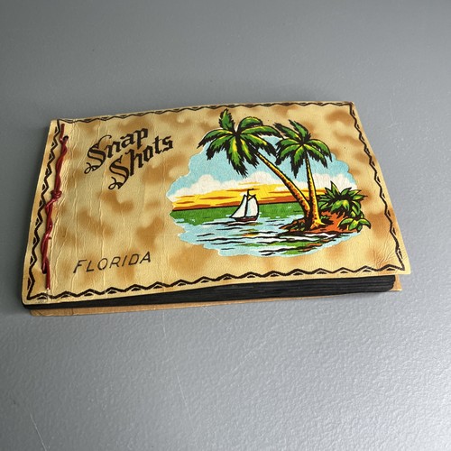 VTG 1950s Full Photo Album Men Women Cars Beach Sharks & More Great Pics!
