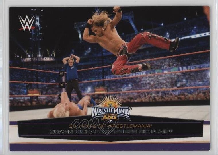 2014 Topps WWE Road to Wrestlemania 30 Years of Shawn Michaels Ric Flair 0wd2