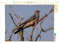 Calvendo Puzzle Kuckuck | 1000 Teile Lege-GrößE 64 × 48 Cm Foto-Puzzle FüR GlüCk