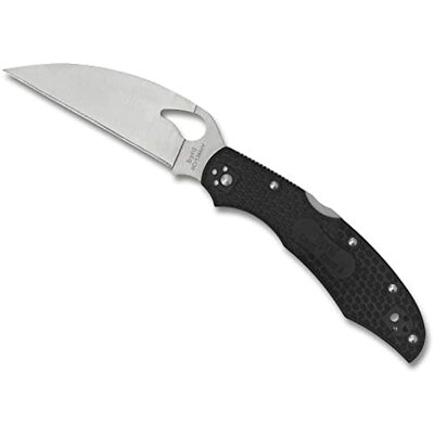 Byrd by Spyderco Cara Cara 2 Wharncliffe Folding Knife (PlainEdge) BY03PBKWC2