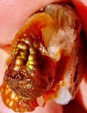 Vintage 1970s Deer Creek Arizona Fire Agate Rough Specimen 2.4 Oounces