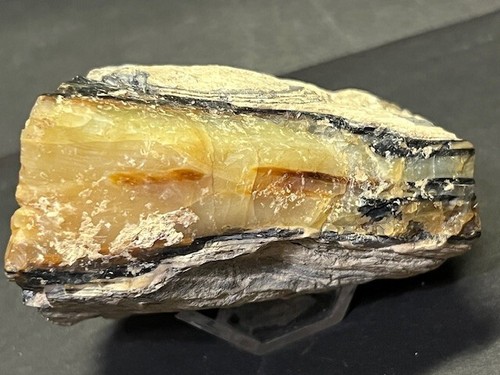COOL CHUNK OF OPALIZED PETRIFIED WOOD, NEVADA: ALSO FLUORESCENT! - Picture 7 of 21