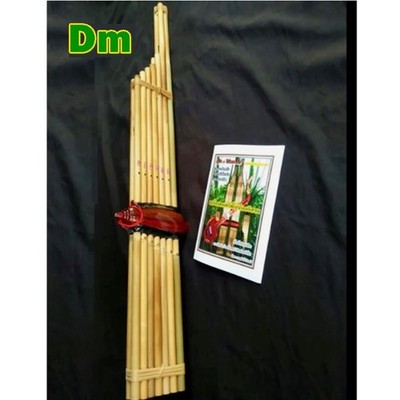 Khaen Bamboo Isan Laos Mouth Organ Musical Instrument Double Silver Tongue Dm 7