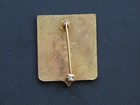 47th Infantry Regiment Distinctive Unit Insignia like on Forrest Gump's Uniform — photo 2