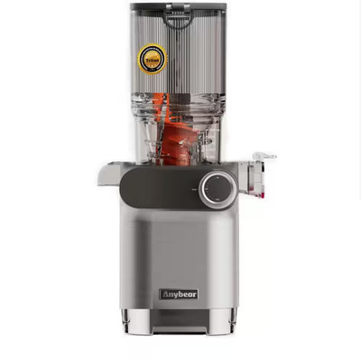 200-Watt Masticating Slow Cold Press Stainless Steel Juicer with 4.3 In. Large F