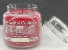 15oz Carnation - Pink Scented Jar Candle by New England Candle Company - NEW