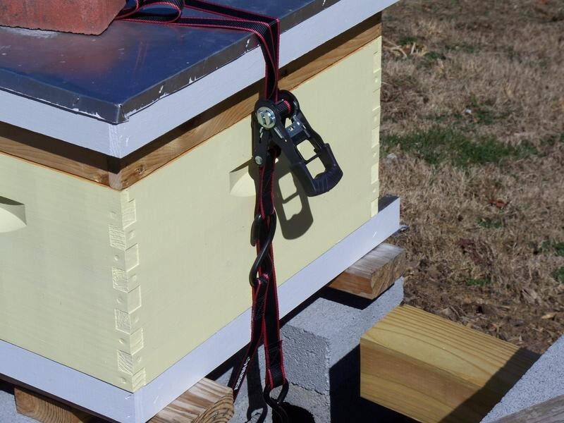 HUSKY RATCHET TIEDOWN STRAPS 4PACK 1 in. x 12 ft. Quick Release Hook