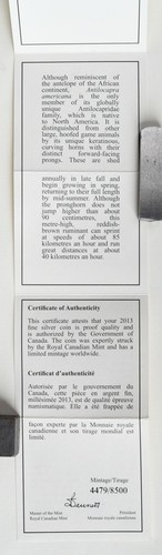 2013 Canada 20 $ Untamed Canada: Pronghorn 99,99% Fine Silver Coin in OGP - Bild 16 von 18