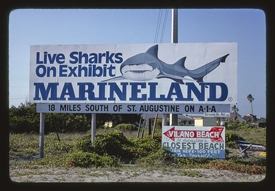 Florida Marineland billboard live sharks exhibit 1979 End of the task.