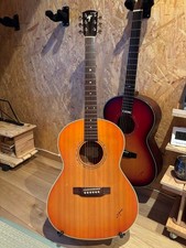 K.Yairi RF-65 HB [Limited Color] + L.R.Baggs Electric Acoustic Acoustic