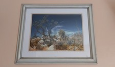 Schöner 23 x 19" Holz Bilderrahmen + 16 x 12" Foto der mexikanischen Wüstenflora