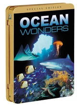 Ocean Wonders
