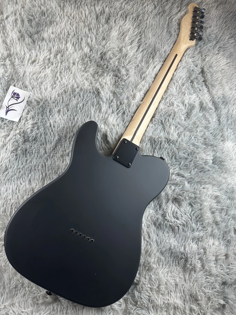 Y-man Guitar WorkShop Dinky Type エレキギター Y-man Guitar Workshop Dinky Stratocaster Type Zebrawood 中古