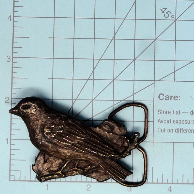 Hebilla de cinturón de pájaro raro Robin R-144 naturaleza ornitólogo hippie bergamota .CPA669 Foto 3 de 4