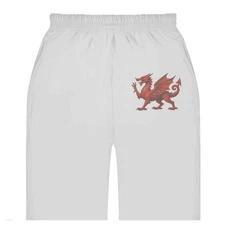 'Red Welsh Dragon' Adult Sweatpants / Joggers (JO055266)