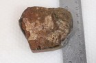 Estate Plume Moss Agate lapidary 3.8 oz. windowed rough — photo 2