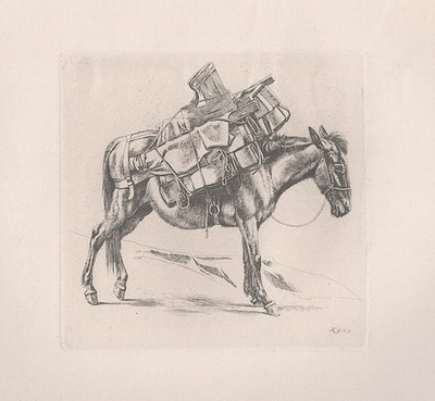Maultier mule Esel donkey Johann Adam Klein Radierung etching - Jahn 249