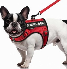 Service Dog Vest for Small Dogs Air Mesh Breathble Emotional