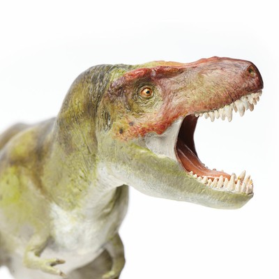 safari ltd tyrannosaurus rex