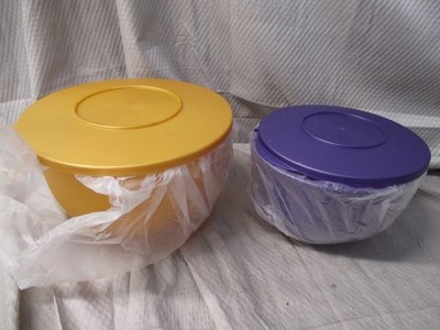 Set of 2 Vintage Tupperware Impressions Bowls 3093B 3095B with Lids | New